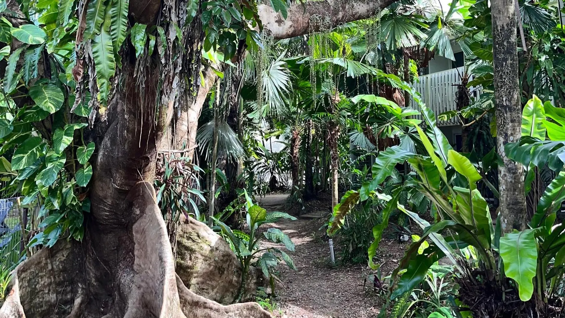 Mission Beach Lodge Austrália